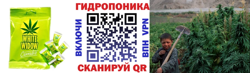 Canna-Cookies марихуана  Жигулёвск 