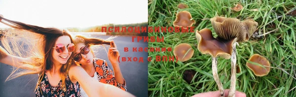 ПСИЛОЦИБИНОВЫЕ ГРИБЫ Беломорск
